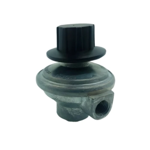 Gas Regulator Camping