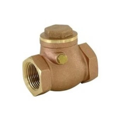 Check Valve Swing